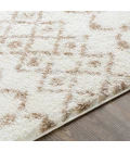 Livabliss Aliyah shag ALH-2303 6 7 x 9  Rug