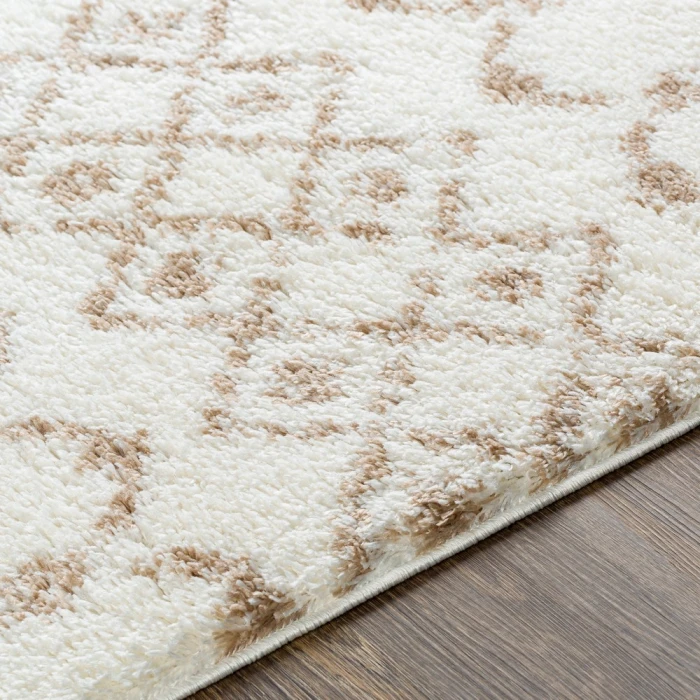 Livabliss Aliyah shag ALH-2303 5 3 x 7 3 Rug
