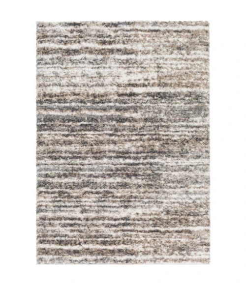 Livabliss Aliyah shag ALH-2307 5 3 x 7 3 Rug