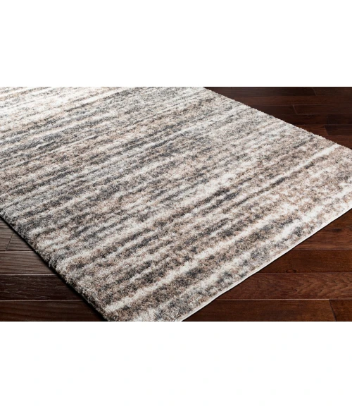 Livabliss Aliyah shag ALH-2307 5 3 x 7 3 Rug