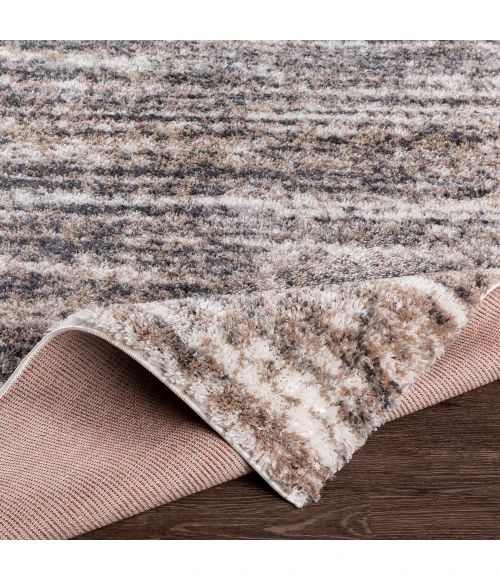 Livabliss Aliyah shag ALH-2307 5 3 x 7 3 Rug