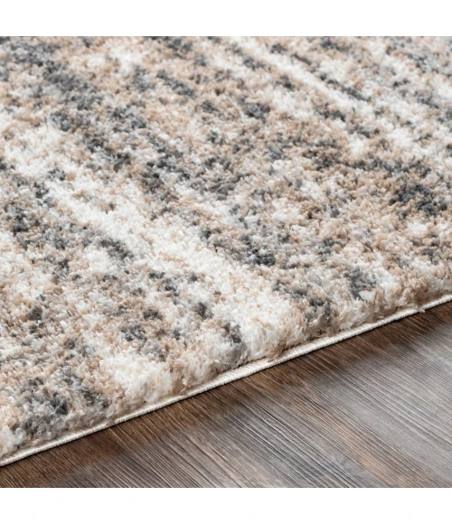 Livabliss Aliyah shag ALH-2307 5 3 x 7 3 Rug