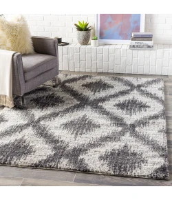 Livabliss Aliyah Shag ALH2310 Light Gray Cream Area Rug 2 ft. X 3 ft. Rectangle