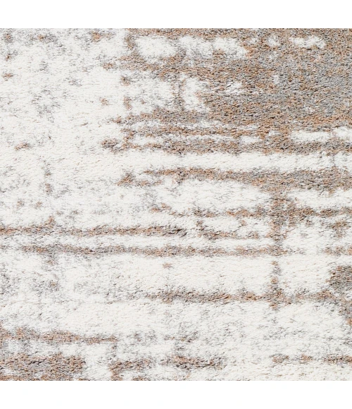 Livabliss Aliyah shag ALH-2312 5 3 x 7 3 Rug