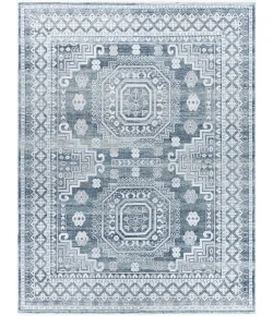 Surya Almeria ALM2300 Multi Area Rug 8 ft. X 10 ft. Rectangle