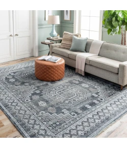 Surya Almeria ALM2300 Multi Area Rug 8 ft. X 10 ft. Rectangle
