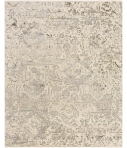 Surya Amina AMA2301 Beige Ivory Area Rug 8 ft. X 10 ft. Rectangle