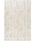 Surya Amina Rug AMA2303
