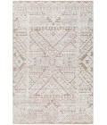 Surya Amina Rug AMA2304