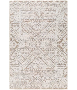 Surya Amina AMA2304 Beige Light Sage Area Rug 9 ft. X 12 ft. Rectangle