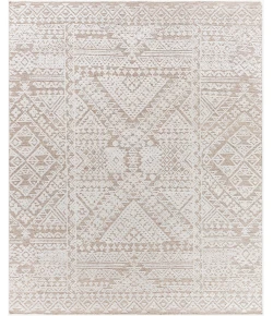 Surya Amina AMA2304 Beige Light Sage Area Rug 8 ft. X 10 ft. Rectangle