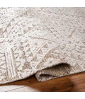 Surya Amina Rug AMA2304