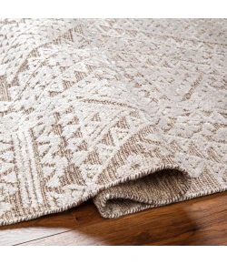 Surya Amina AMA2304 Beige Light Sage Area Rug 9 ft. X 12 ft. Rectangle