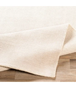 Surya Amalfi AMF2301 Beige Cream Area Rug 2 ft. X 3 ft. Rectangle