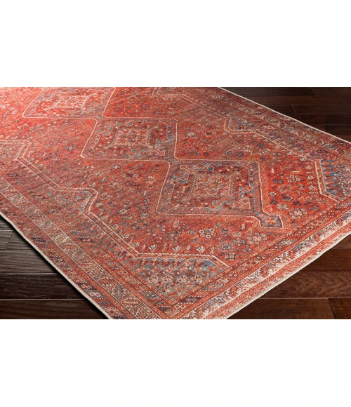 Livabliss Amelie Orange AML-2341 8 ft. 10 in. X 12 ft. Rect. Rug