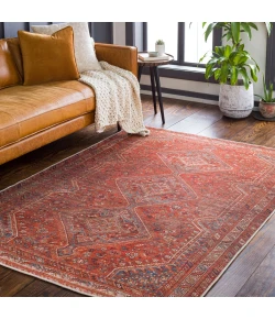 Livabliss Amelie Orange AML-2341 8 ft. 10 in. X 12 ft. Rect. Rug
