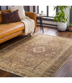 Livabliss Amelie AML2348 Dark Brown Saffron Area Rug 8 ft. 10 in. X 12 ft. Rectangle