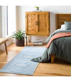 Livabliss Amelie AML2362 Light Blue Ice Blue Area Rug 2 ft. 7 in. X 18 ft. Runner
