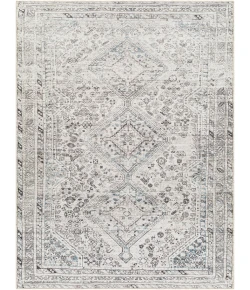 Livabliss Amelie AML2380 Off-White Denim Area Rug 8 ft. 10 in. X 12 ft. Rectangle