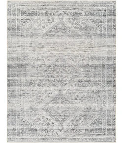 Livabliss Amelie AML2381 Off-White Charcoal Area Rug 2 ft. X 2 ft. 11 in. Rectangle