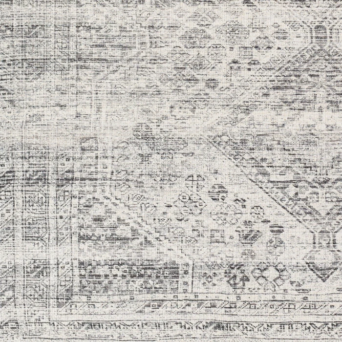 Livabliss Amelie Rug AML2381