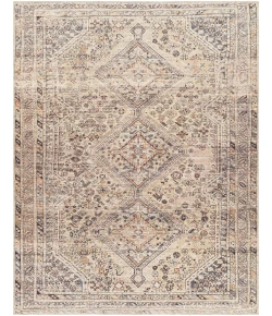 Livabliss Amelie AML2382 Ivory Gray Area Rug 2 ft. X 2 ft. 11 in. Rectangle