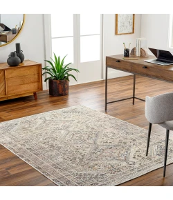 Livabliss Amelie AML2382 Ivory Gray Area Rug 2 ft. X 2 ft. 11 in. Rectangle