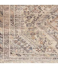 Livabliss Amelie Rug AML2382