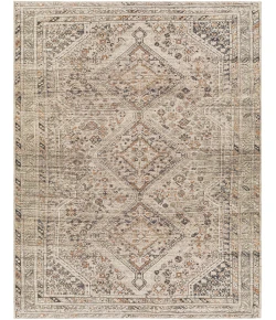 Livabliss Amelie AML2383 Ivory Gray Area Rug 5 ft. 3 in. X 7 ft. 3 in. Rectangle