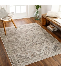 Livabliss Amelie AML2383 Ivory Gray Area Rug 5 ft. 3 in. X 7 ft. 3 in. Rectangle