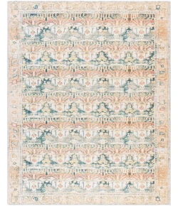 Livabliss Amelie AML-2397 8 ft.10 in. x 12 ft. Rectangle Rug