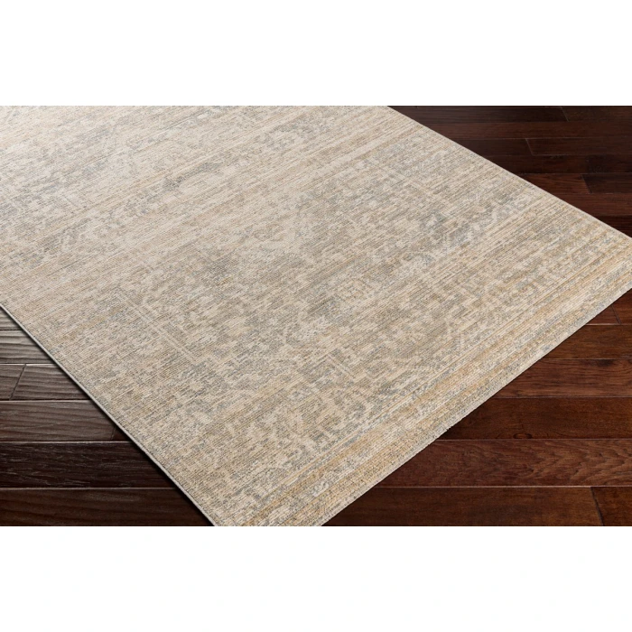 Surya Amore AMO-2324 2'3" x 3'9" Rug