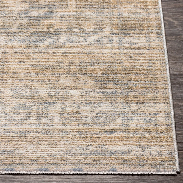 Surya Amore AMO-2324 2'3" x 3'9" Rug