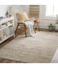 Surya Amore AMO-2324 2'3" x 3'9" Rug