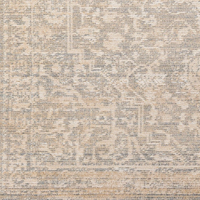 Surya Amore AMO-2324 2'3" x 3'9" Rug