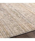 Surya Amore AMO-2324 2'3" x 3'9" Rug