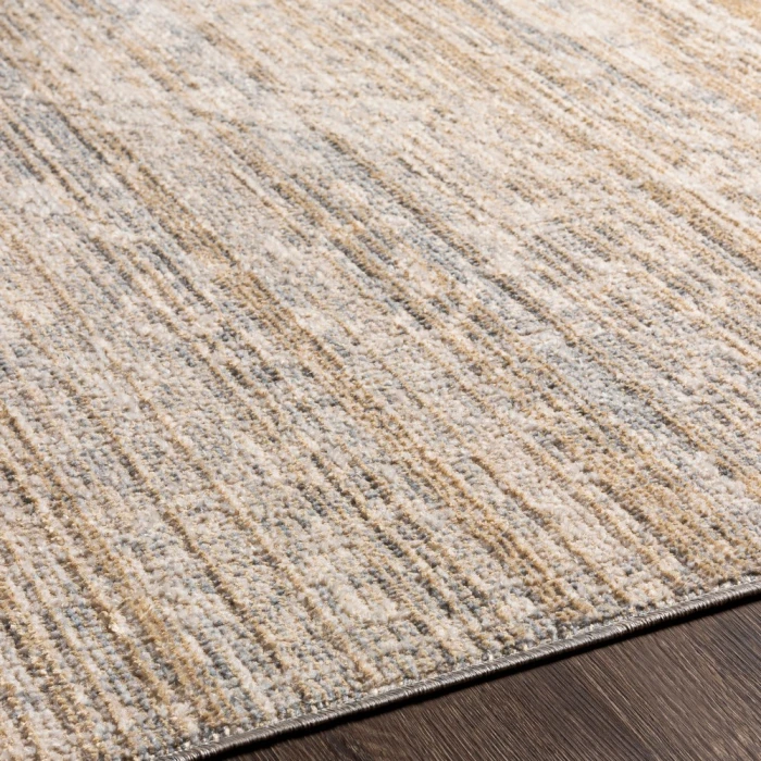 Surya Amore AMO-2324 2'3" x 3'9" Rug