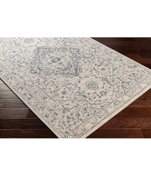 Surya Amore AMO-2325 2' x 3' Rug