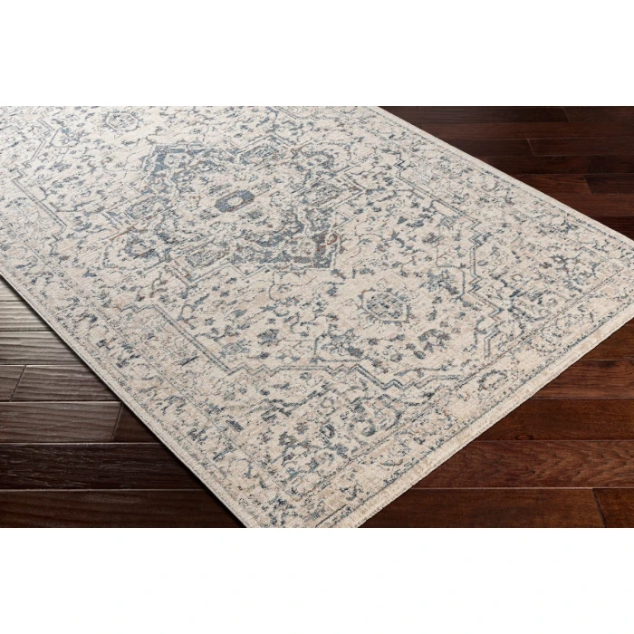 Surya Amore AMO-2325 2' x 3' Rug