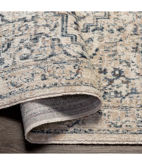 Surya Amore AMO-2325 2' x 3' Rug