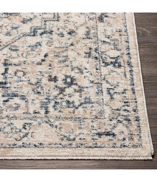 Surya Amore AMO-2325 2' x 3' Rug