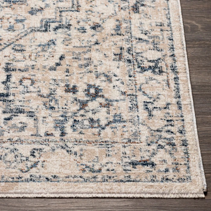 Surya Amore AMO-2325 2' x 3' Rug