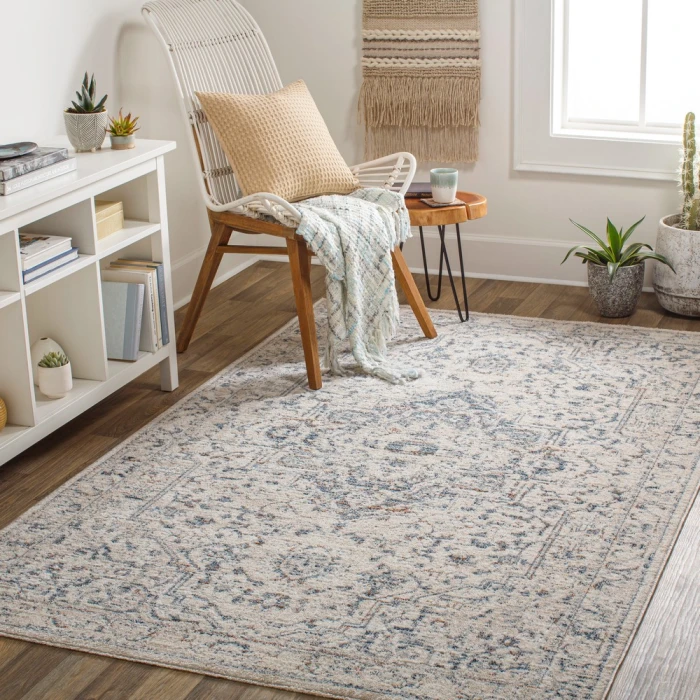 Surya Amore AMO-2325 2' x 3' Rug