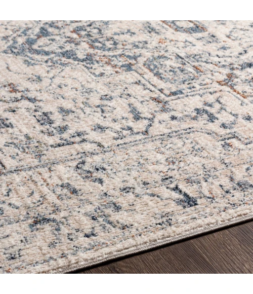 Surya Amore AMO-2325 2' x 3' Rug