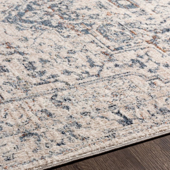 Surya Amore AMO-2325 2' x 3' Rug