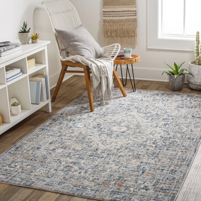 Surya Amore AMO-2326 2' x 3' Rug