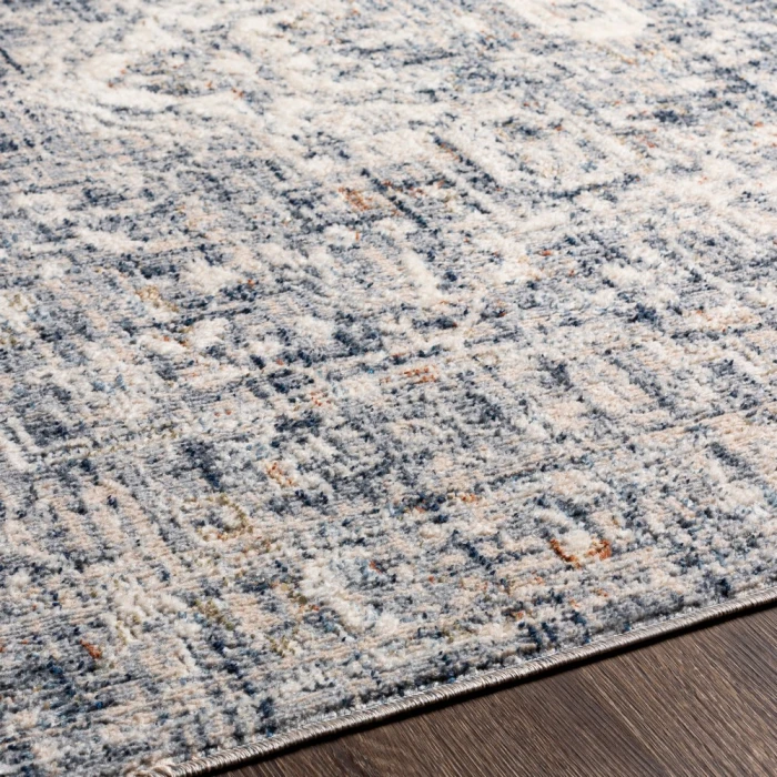 Surya Amore AMO-2326 2' x 3' Rug