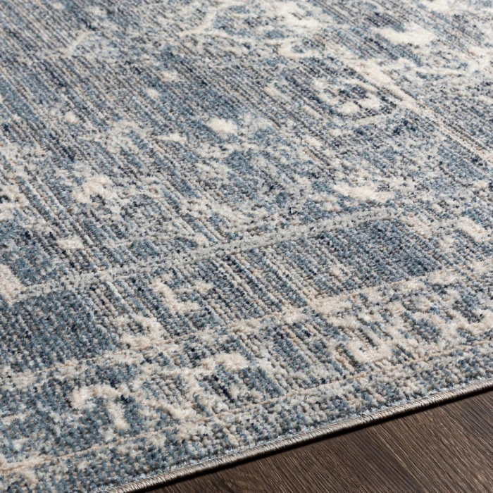 Surya Amore AMO-2327 2' x 3' Rug