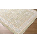 Livabliss Amir Sage AMR-2306 7 ft. 10 in. X 10 ft. Rect. Rug