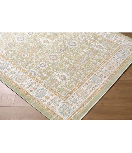 Livabliss Amir Sage AMR-2306 7 ft. 10 in. X 10 ft. Rect. Rug